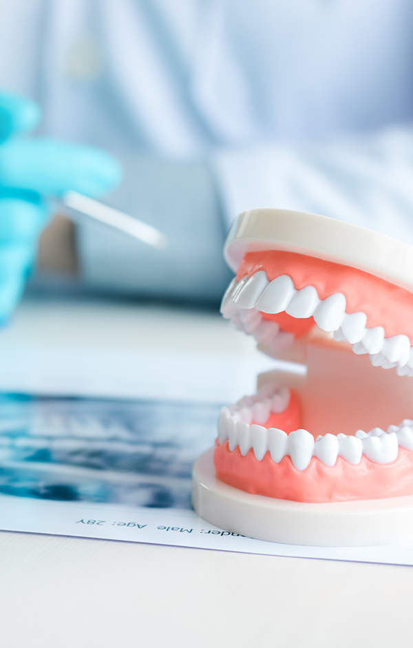 基隆全口重建推薦欣隆牙醫欣城牙醫 缺牙困擾？欣城牙醫專精全口重建，結合植牙與假牙贋復技術。為長庚商圈與橘郡居民量身打造耐用的全口重建方案，不論是咬合力提升或笑容美化，都能在城上城一次完成。